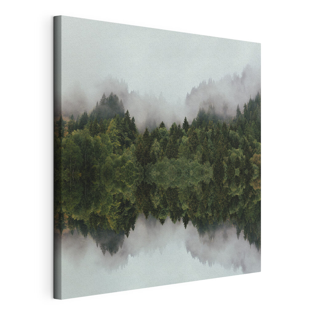 A reflection of trees in the water