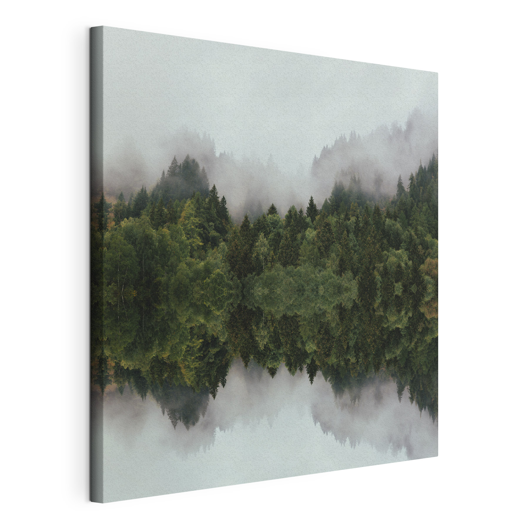 A reflection of trees in the water