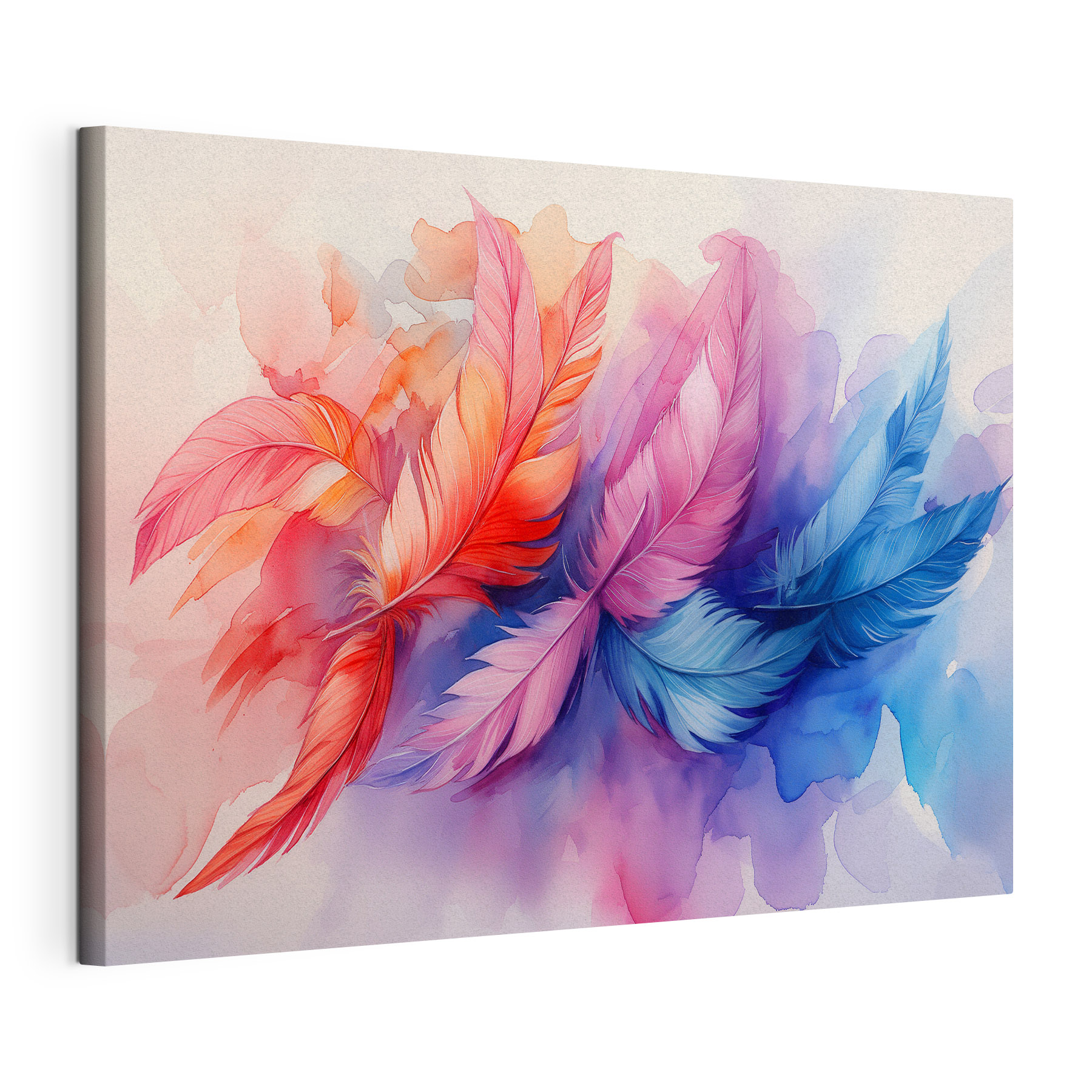 A colorful feathers on a white background A colorful feathers on a white background