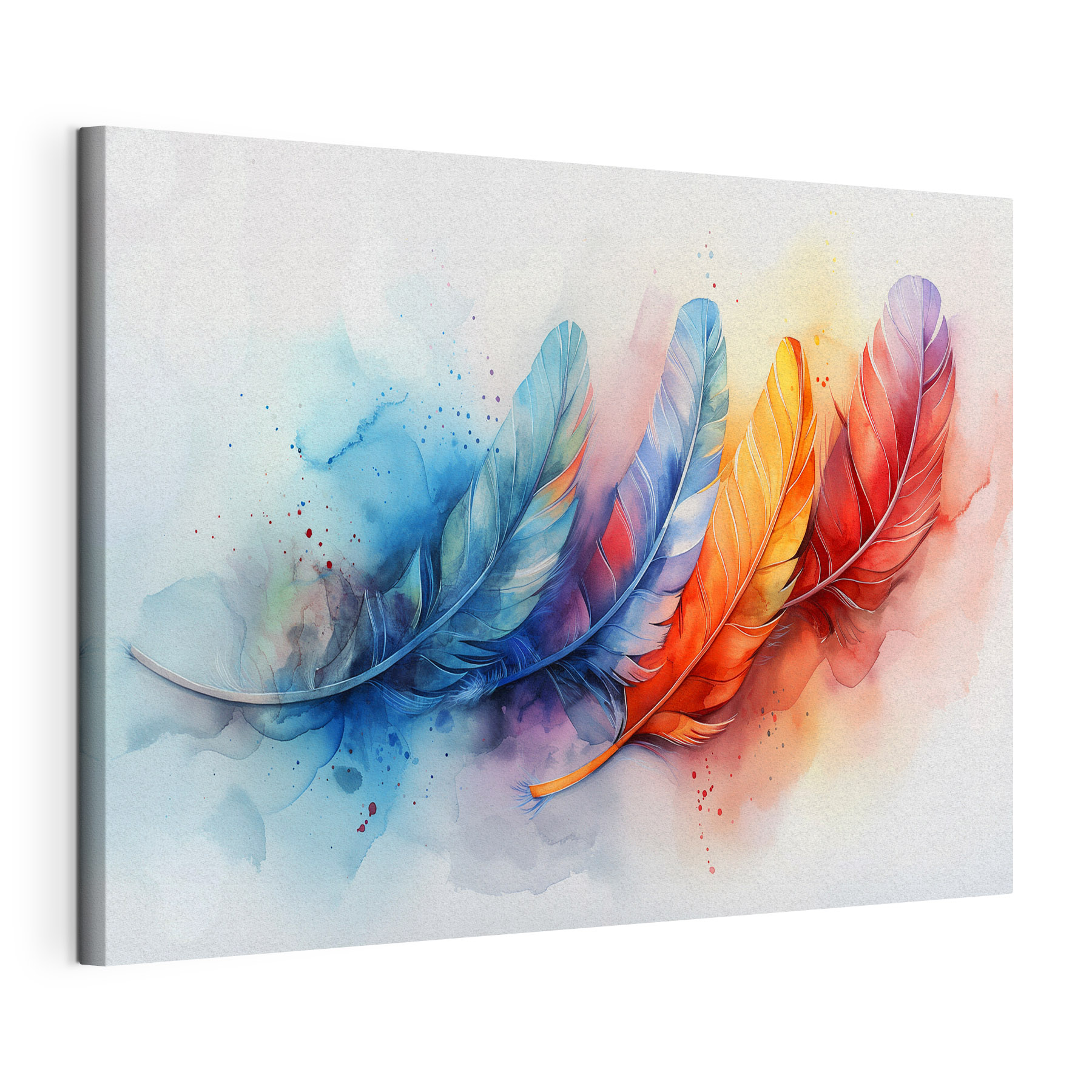 A colorful feathers on a white background A colorful feathers on a white background