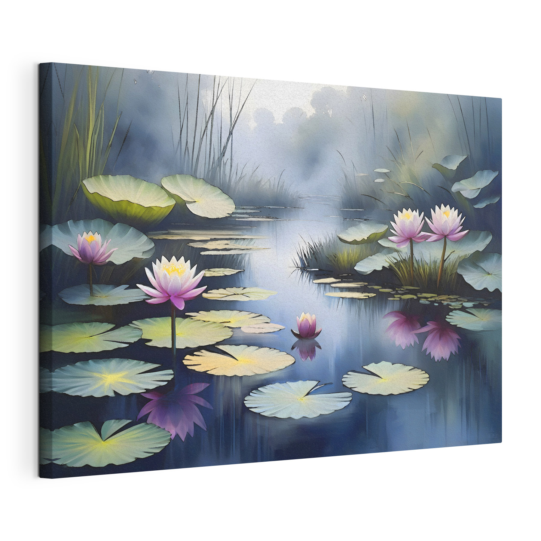 A water lily flowers and plants A water lily flowers and plants
