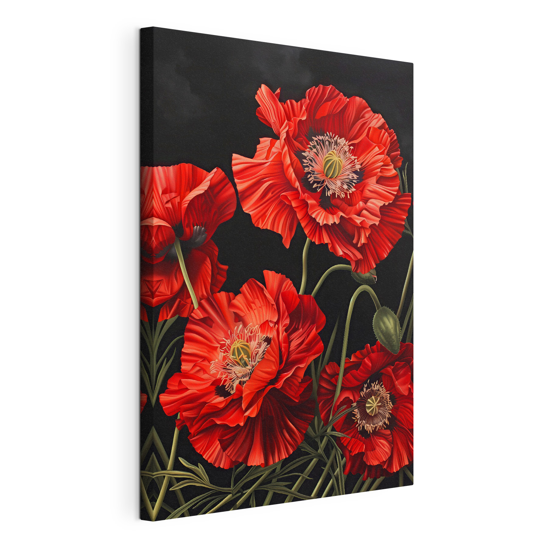 Vibrant red poppies on dark backdrop Vibrant red poppies on dark backdrop