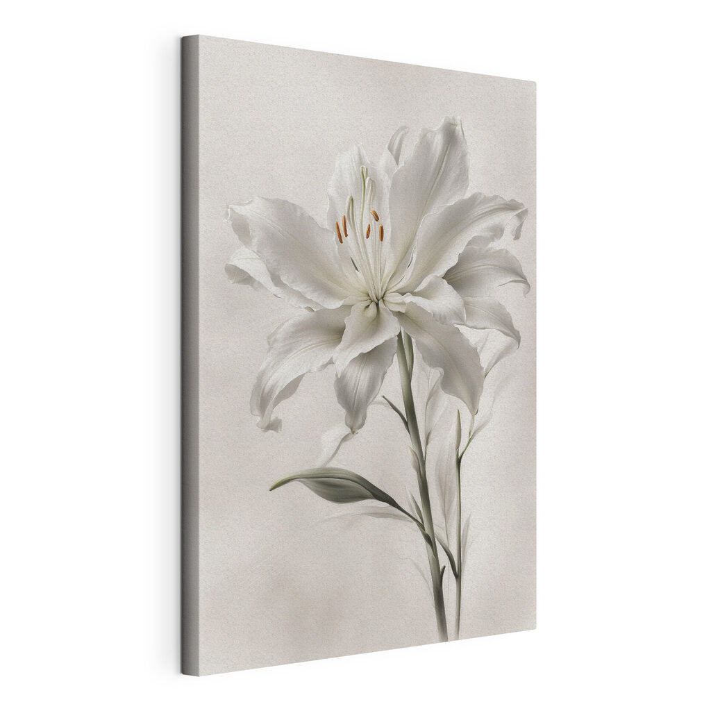 A white flower with green leaves A white flower with green leaves