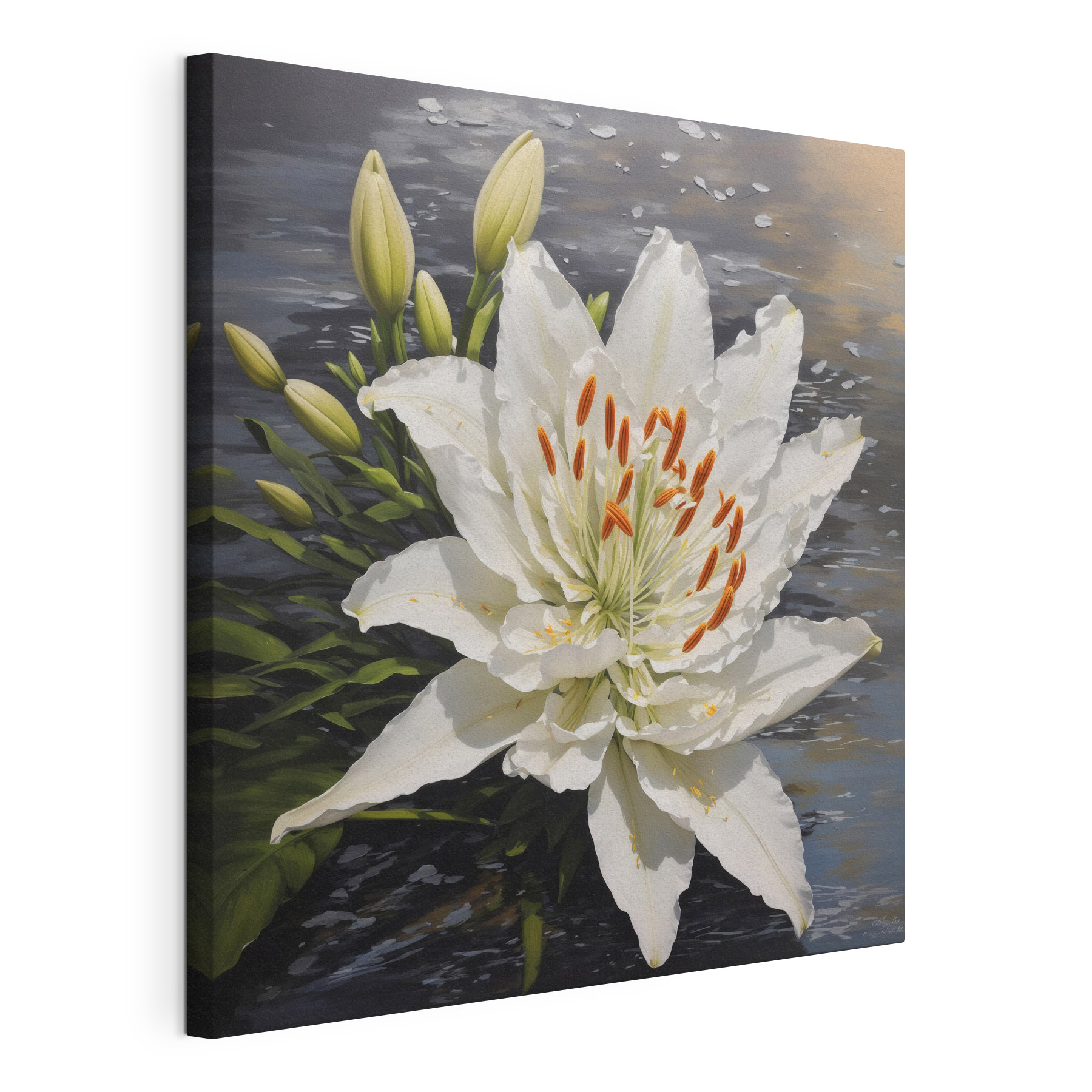 A white flower with orange stamens and buds A white flower with orange stamens and buds