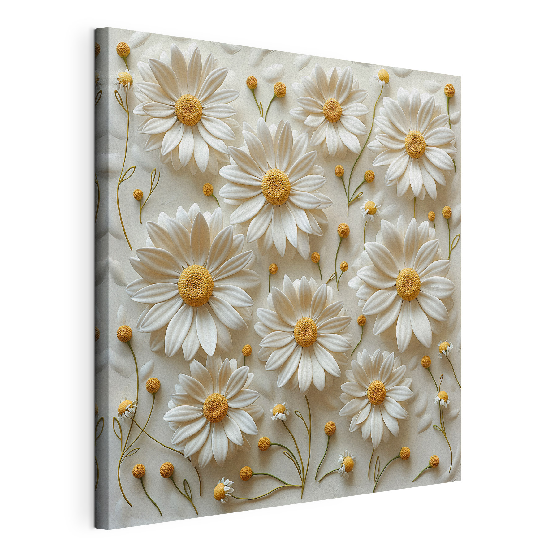 A white and yellow flowers
