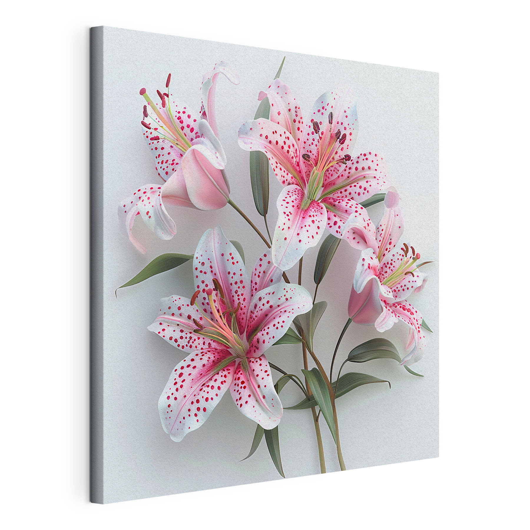 A group of pink and white flowers A group of pink and white flowers