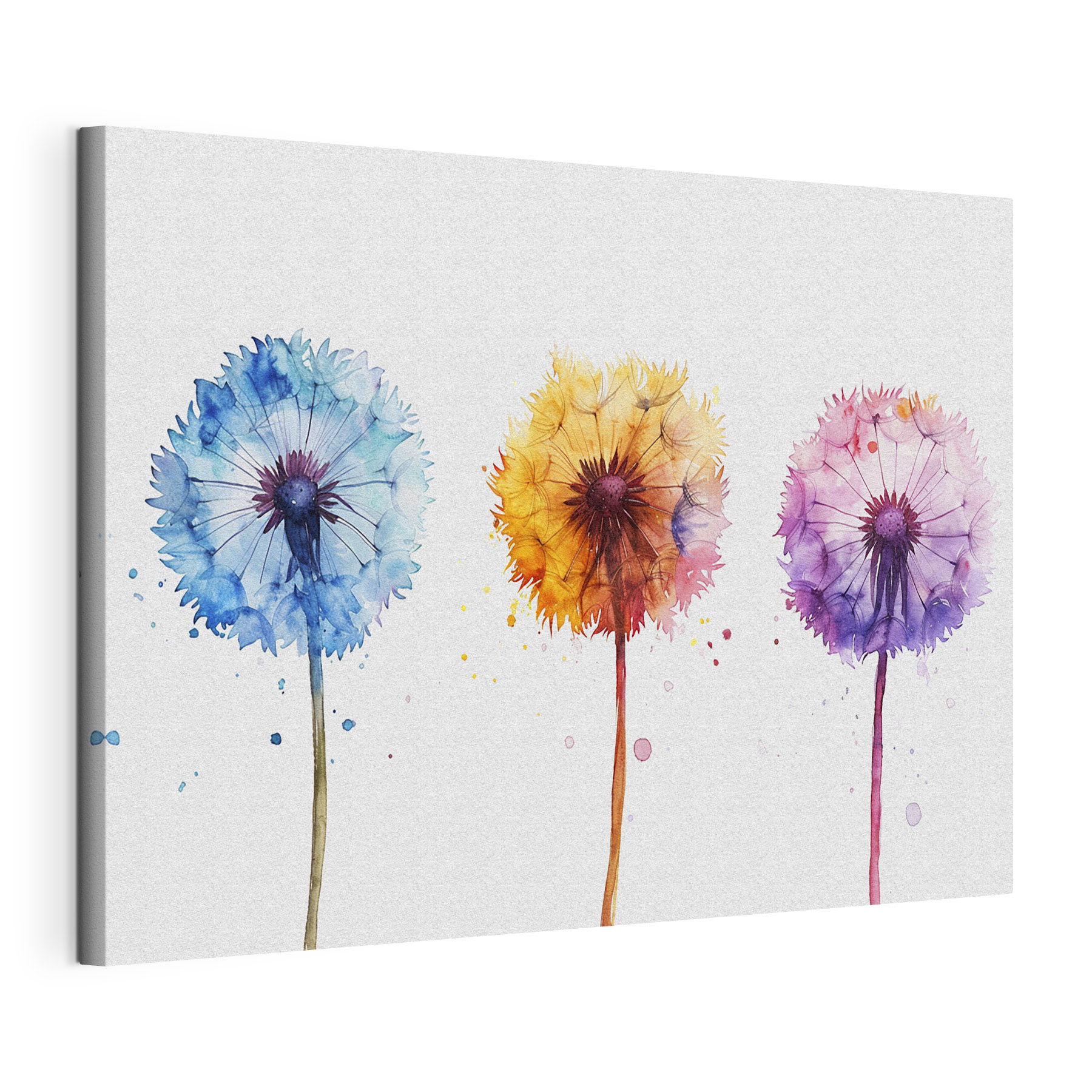 A group of colorful dandelions A group of colorful dandelions
