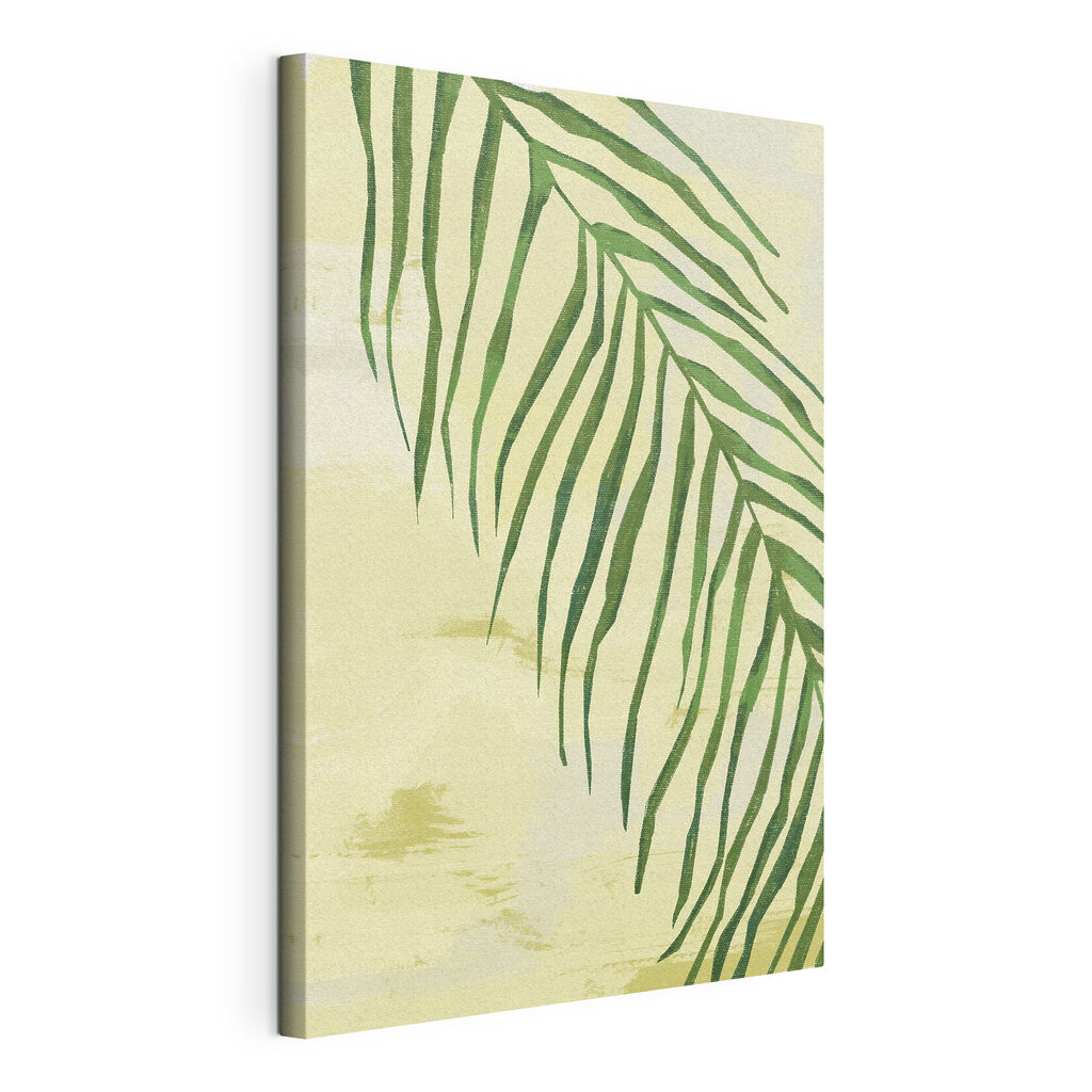 A green leaf on a white background