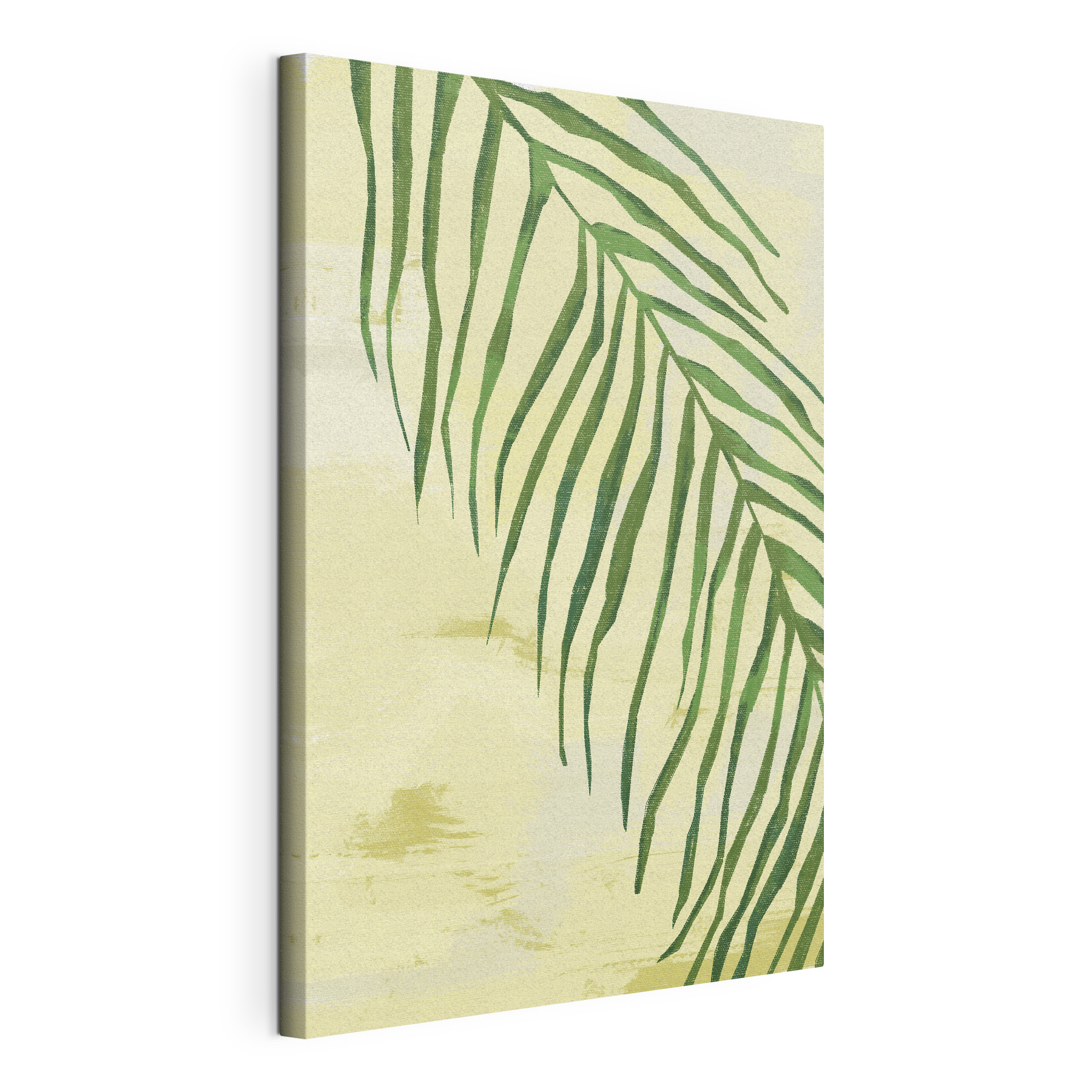 A green leaf on a white background