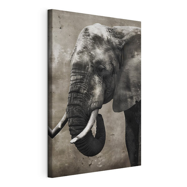 Un elefante con colmillos Cuadros Un elefante con colmillos