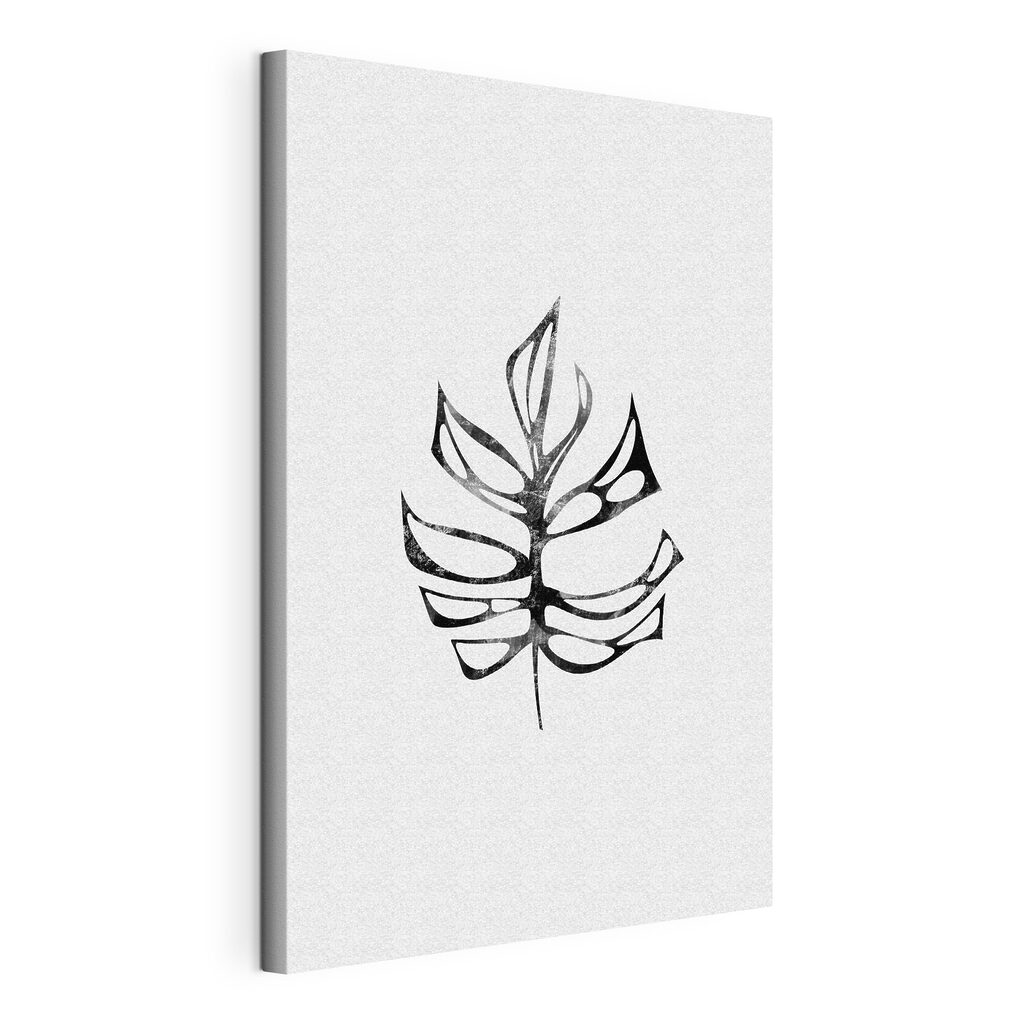 A black and white leaf A black and white leaf