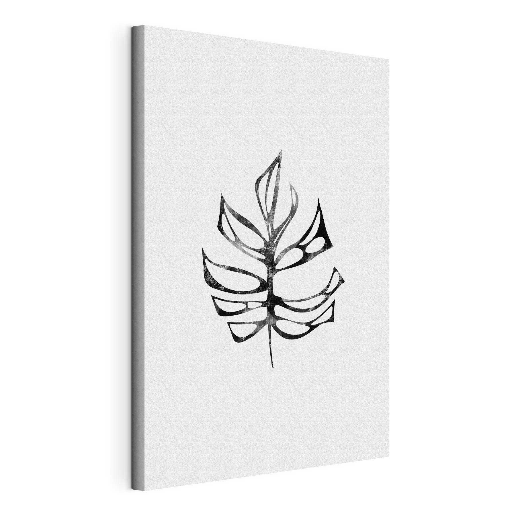 A black and white leaf A black and white leaf