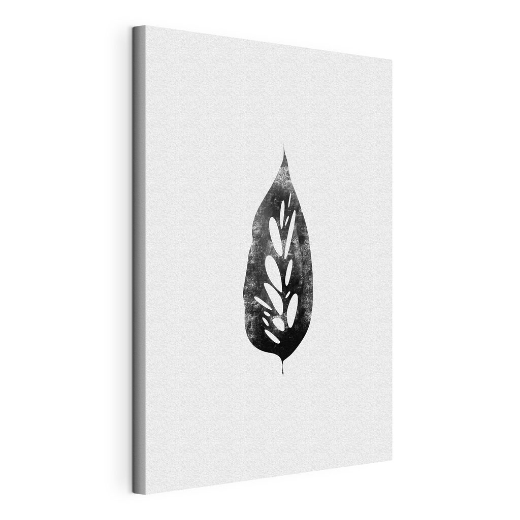 A black and white leaf A black and white leaf