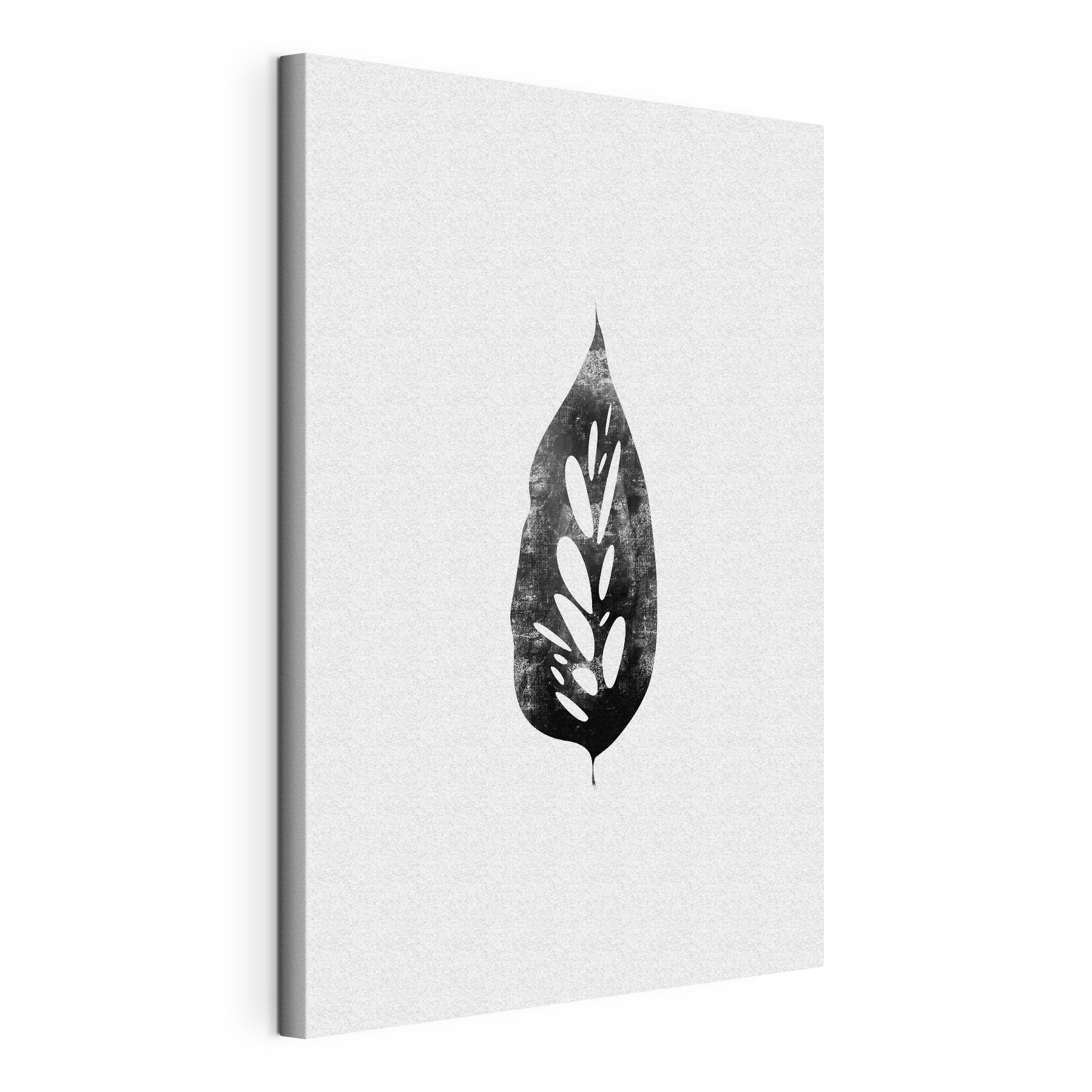 A black and white leaf A black and white leaf