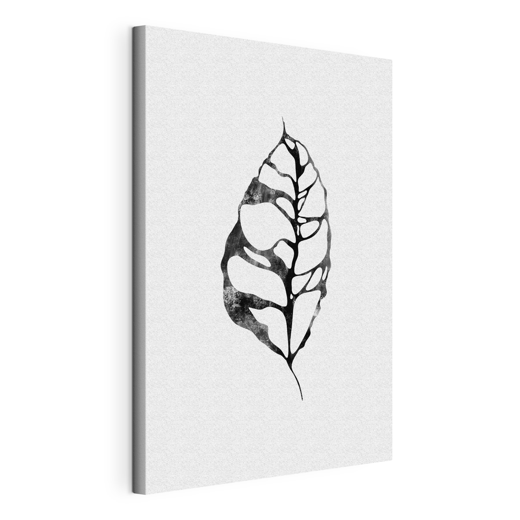 A black and white leaf