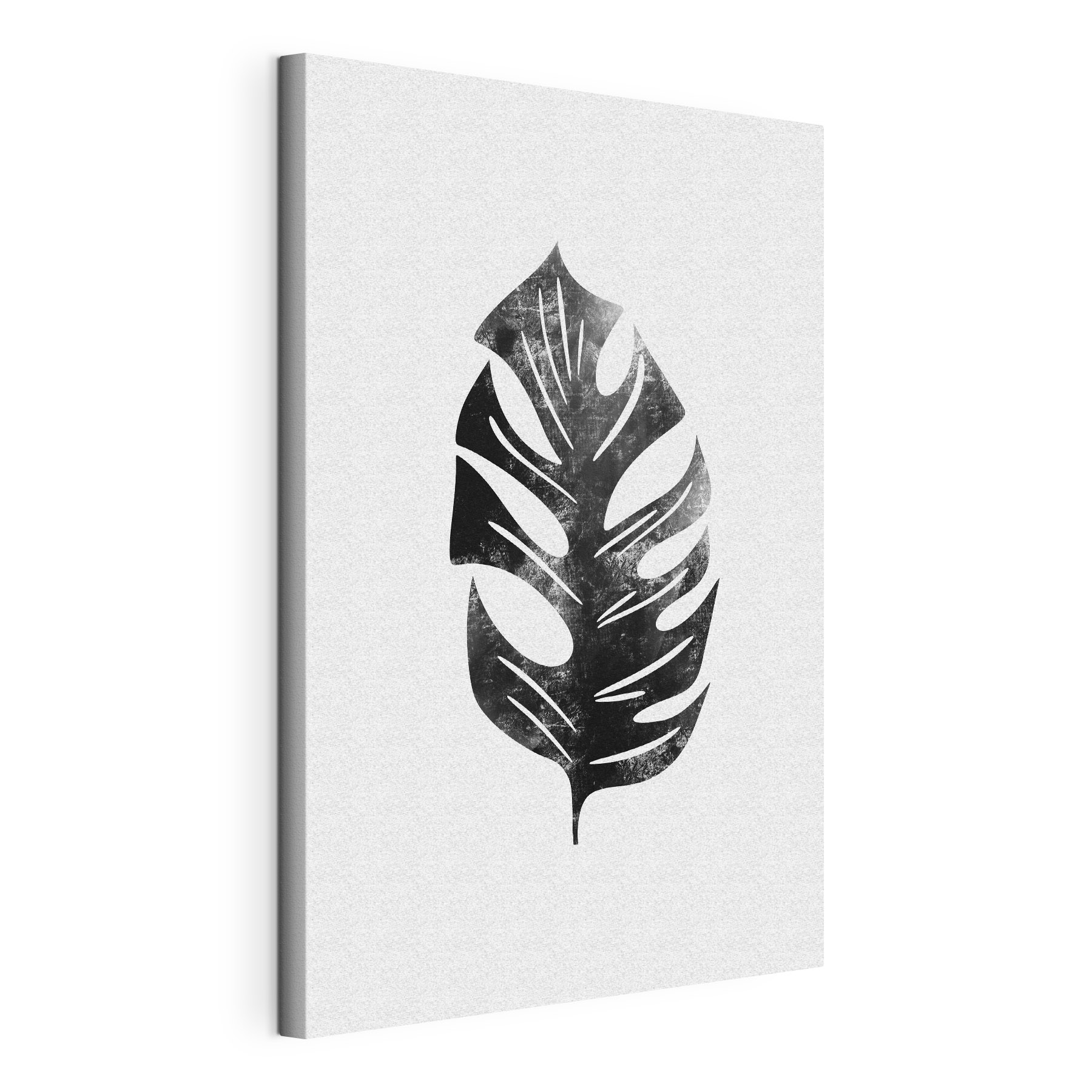 A black and white leaf A black and white leaf