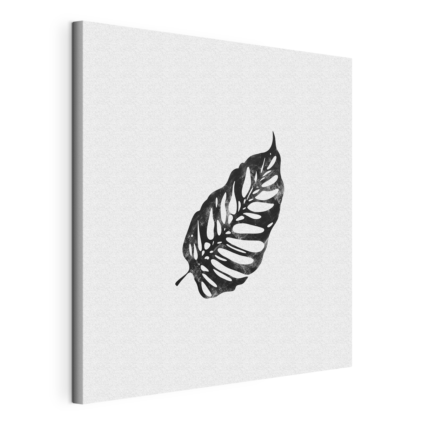 A black leaf on a white background A black leaf on a white background