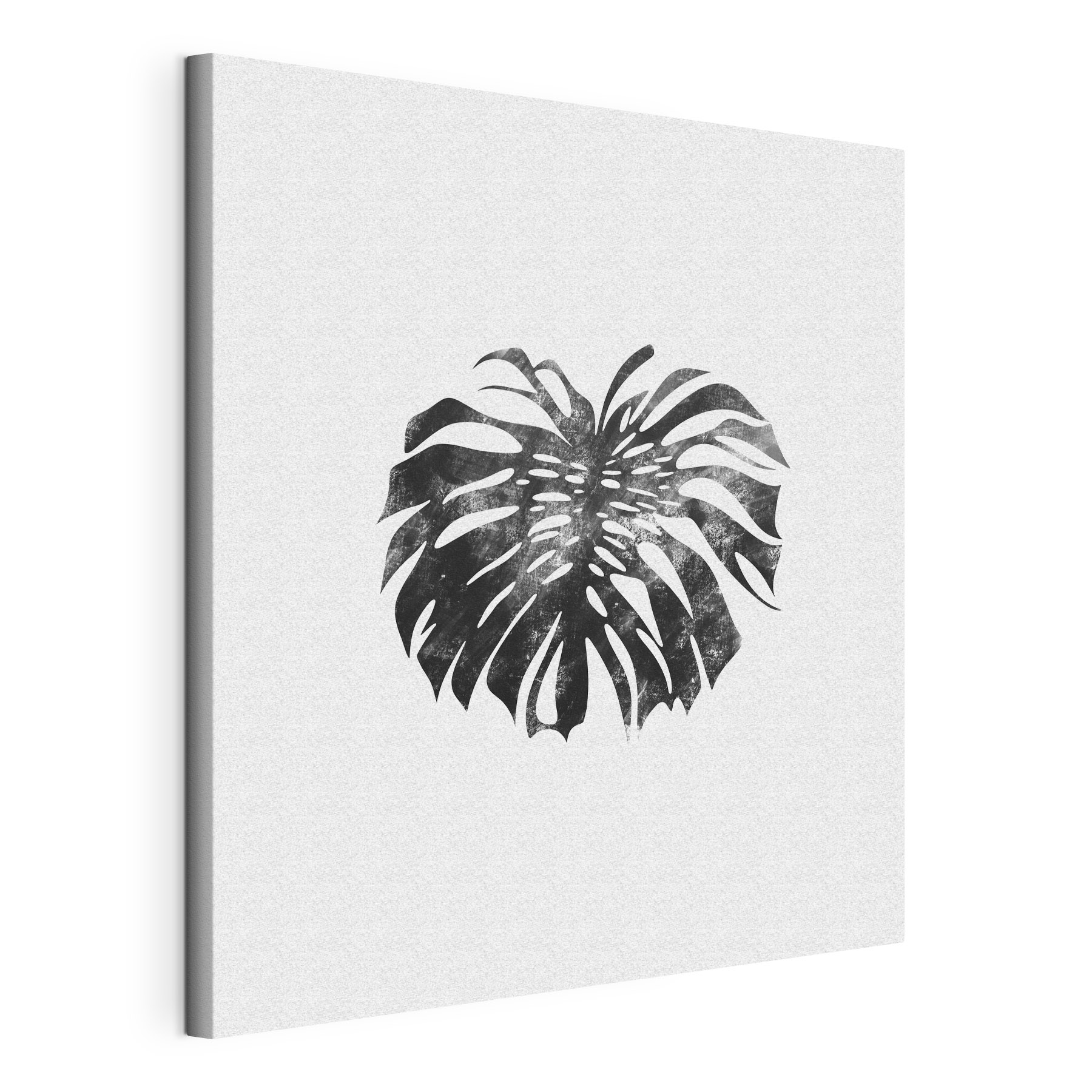 A black and white image of a leaf