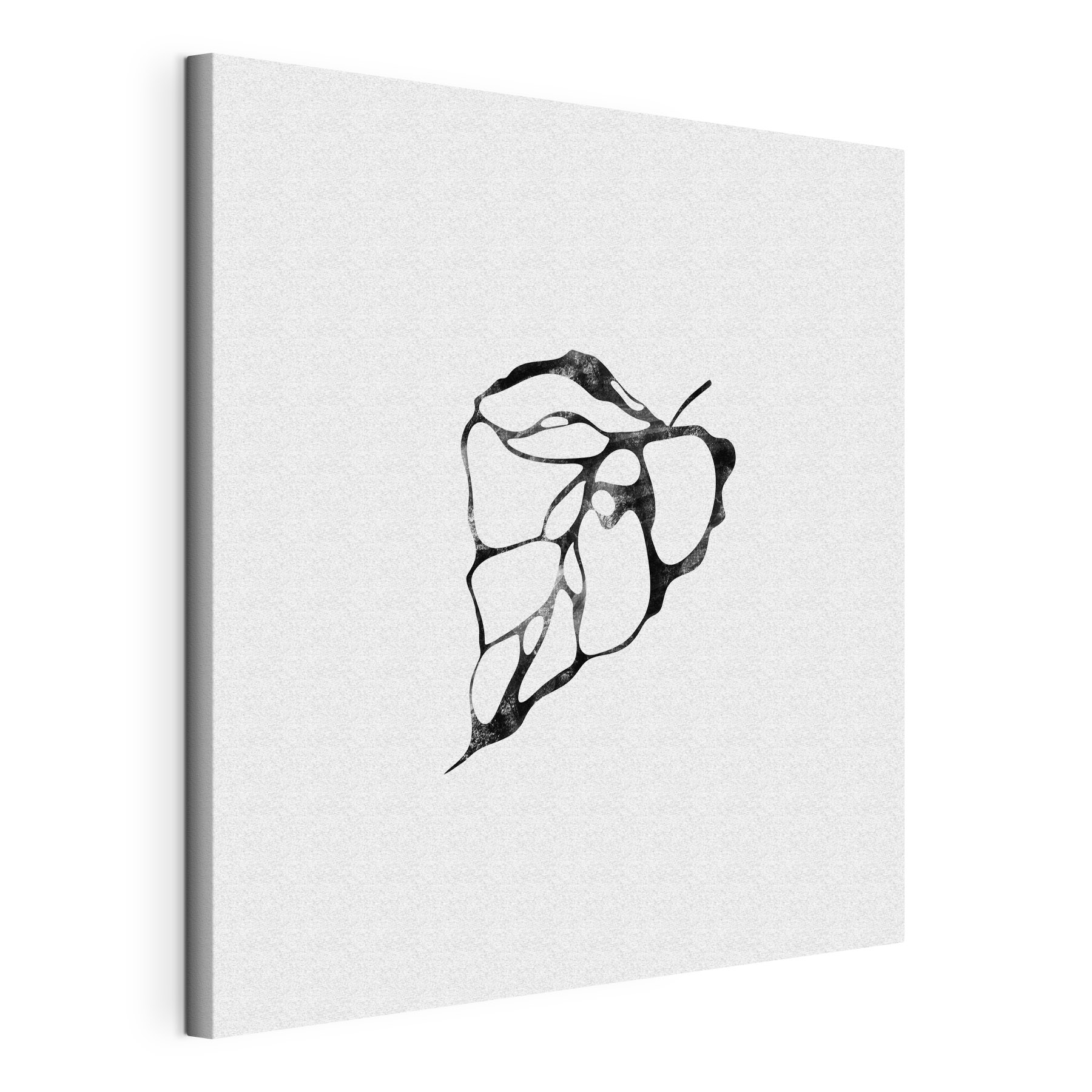 A black and white image of a leaf A black and white image of a leaf