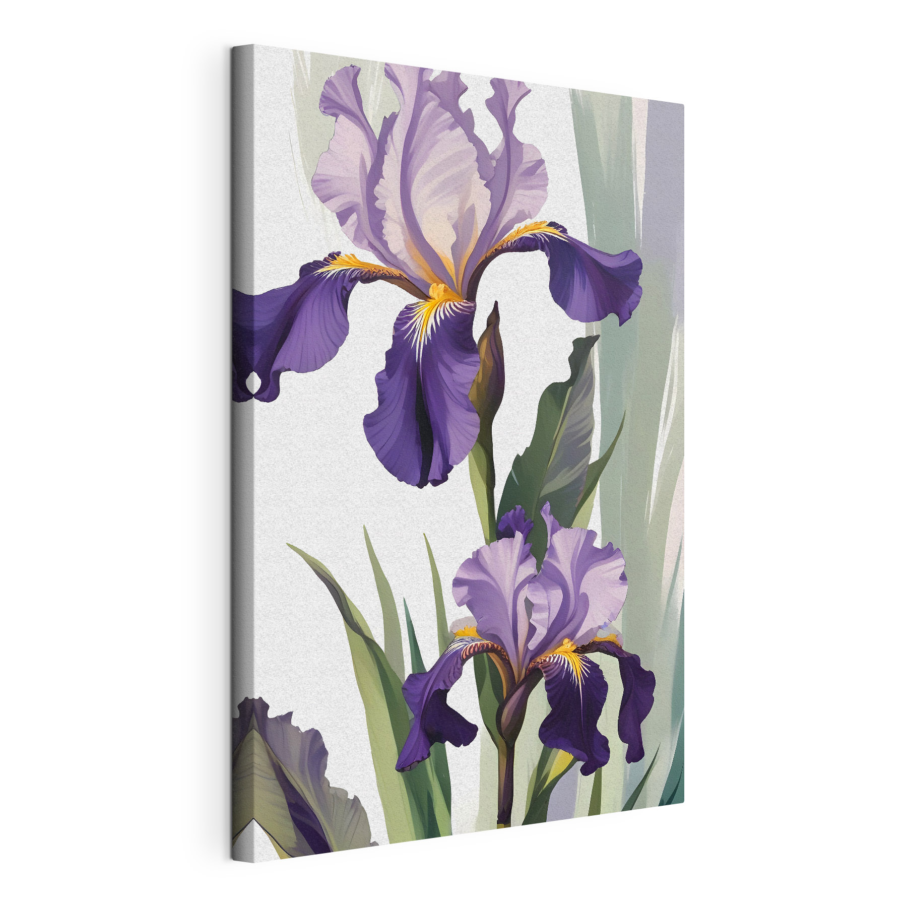 A purple and yellow irises A purple and yellow irises