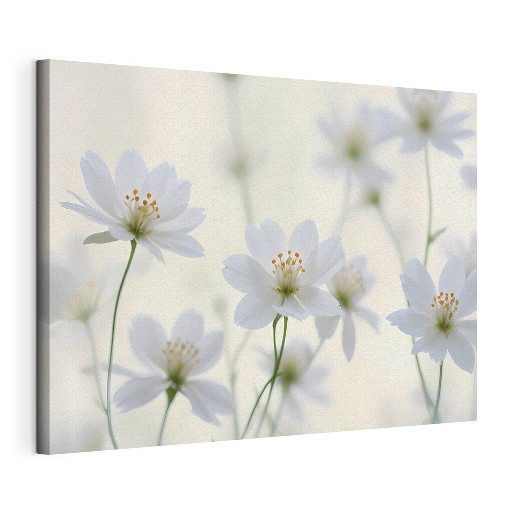 A group of white flowers