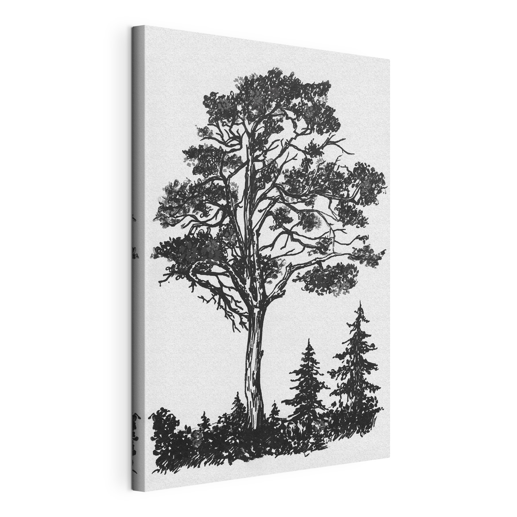 A black and white drawing of a tree