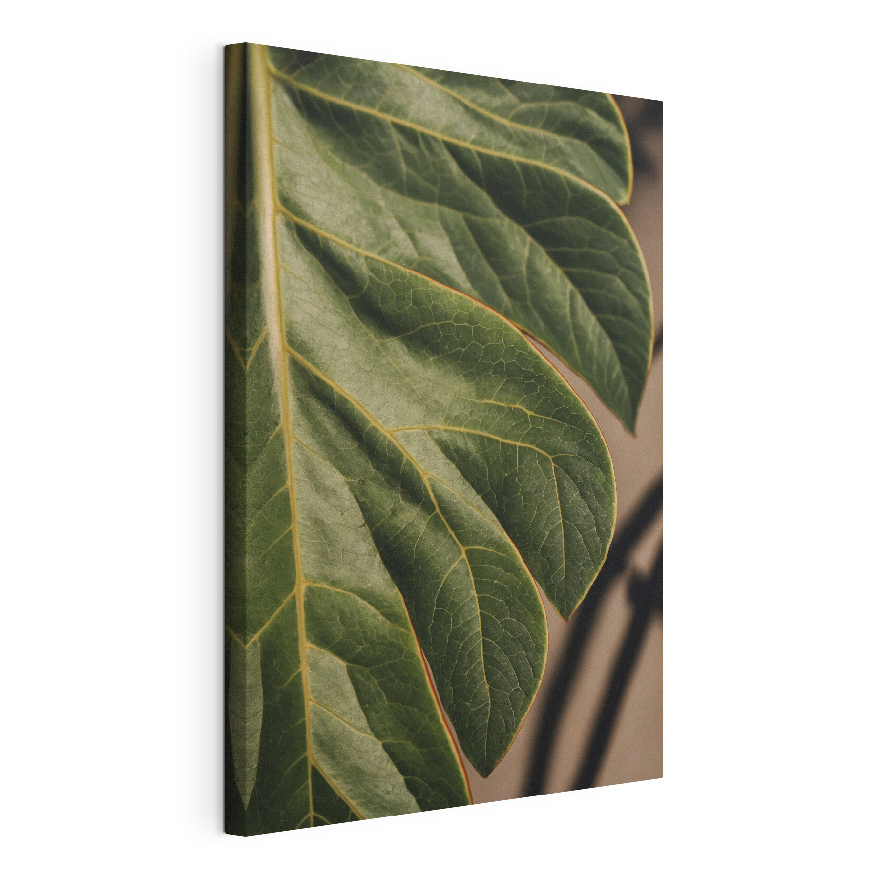 Vibrant green leaves with intricate patterns Vibrant green leaves with intricate patterns