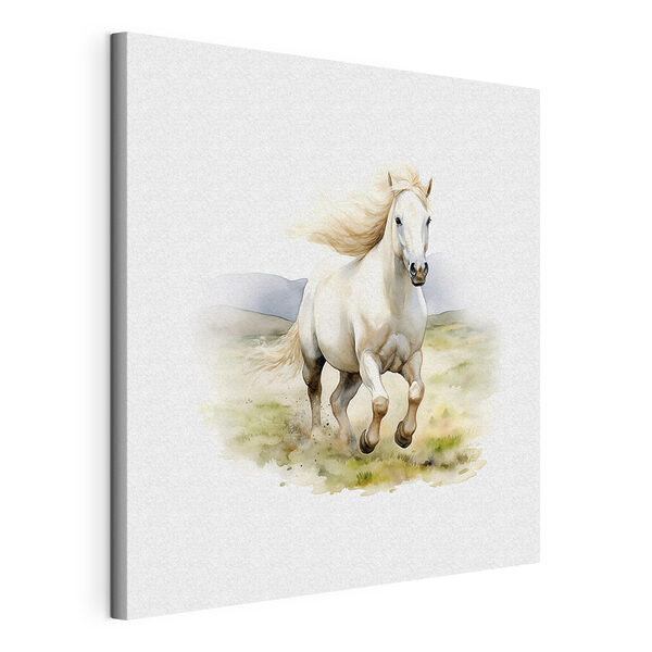 Cuadros Cuadros Un caballo blanco corriendo por un campo (SKU: s38477)