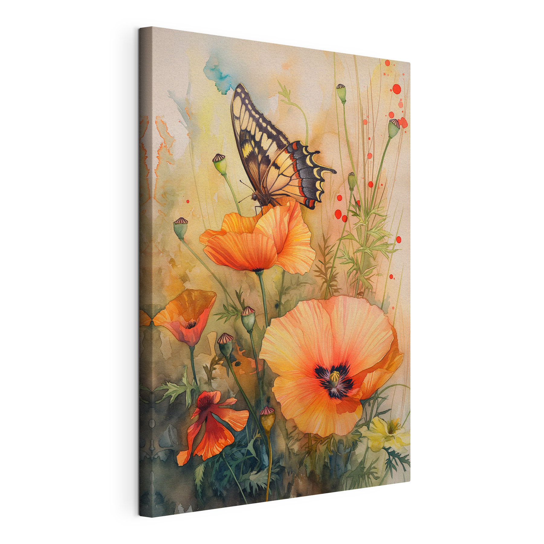 A butterfly on flowers