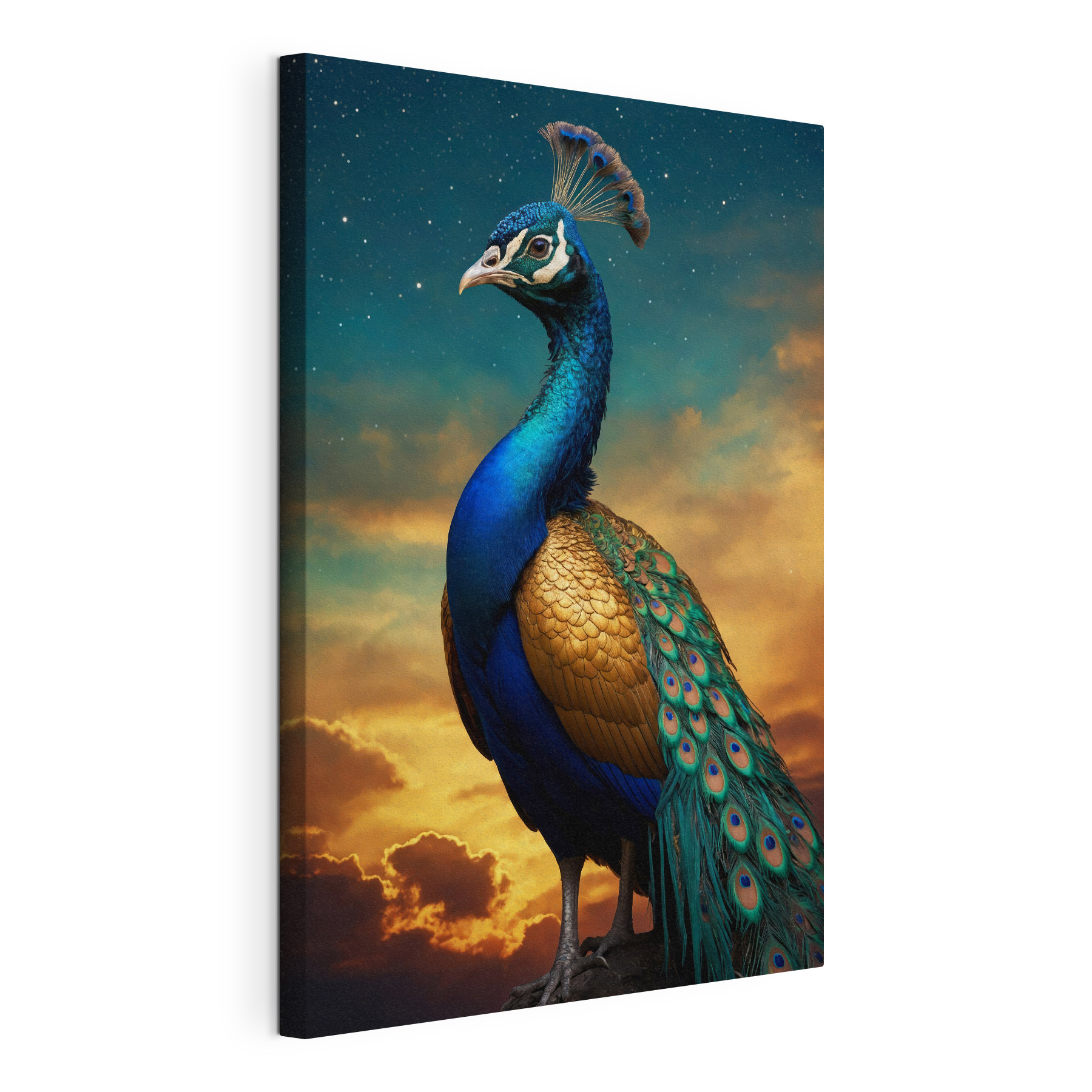 A peacock standing in front of a cloudy sky A peacock standing in front of a cloudy sky
