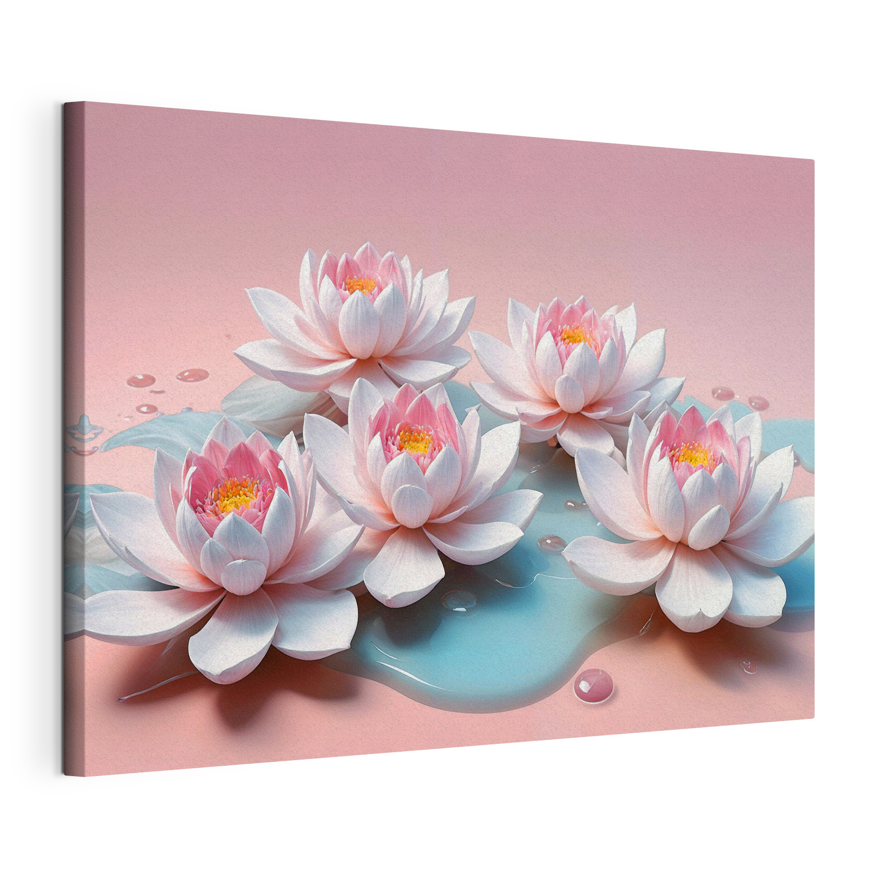 A group of pink flowers floating on water A group of pink flowers floating on water