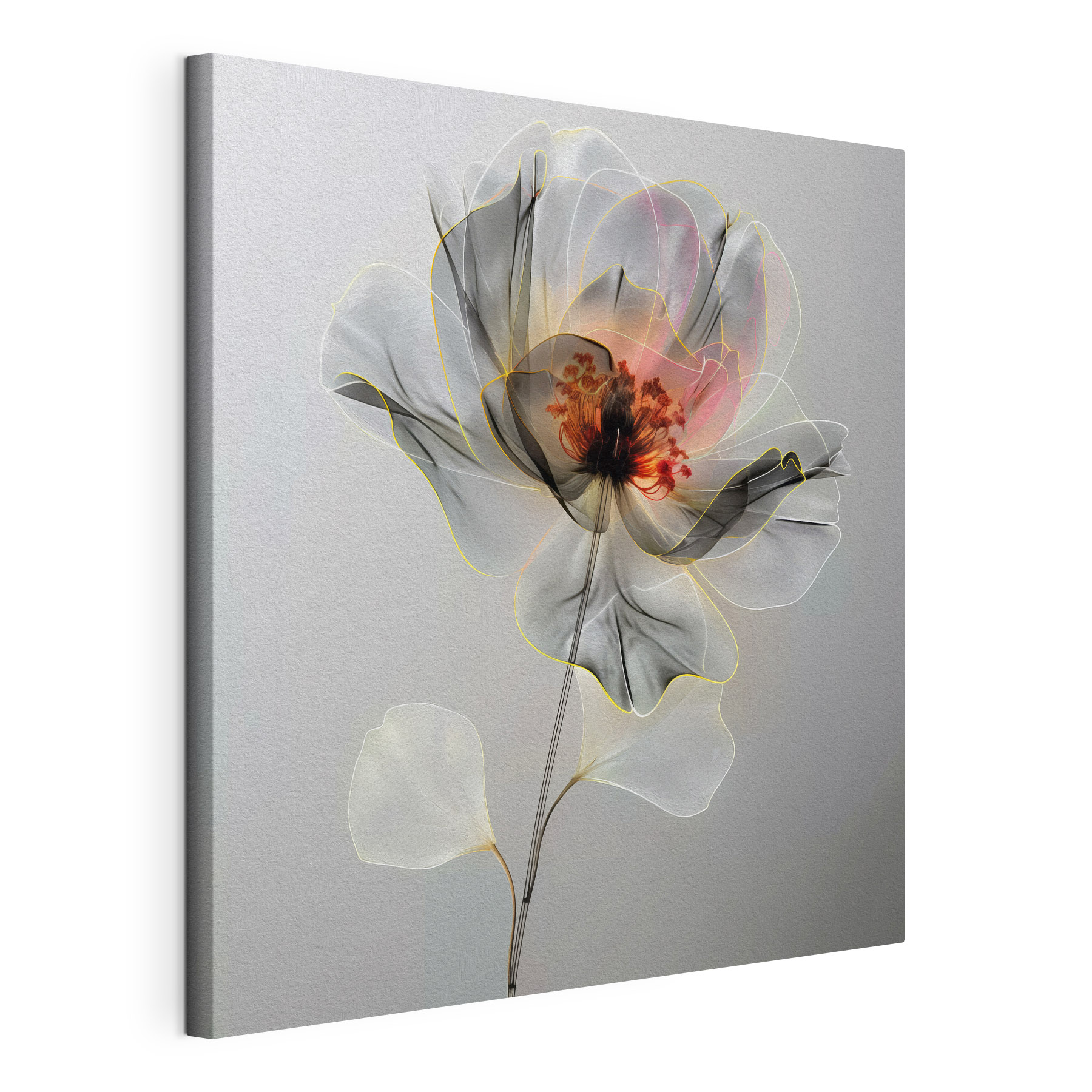 A transparent flower with a leaf