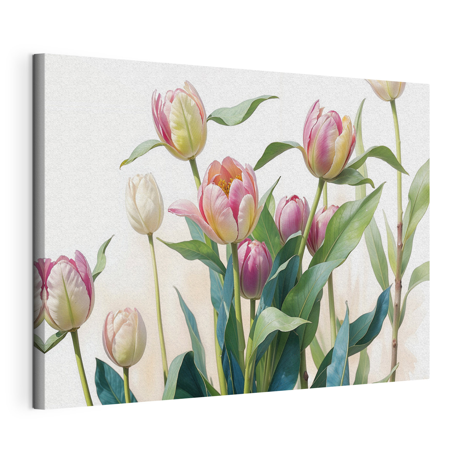 A group of pink and white flowers