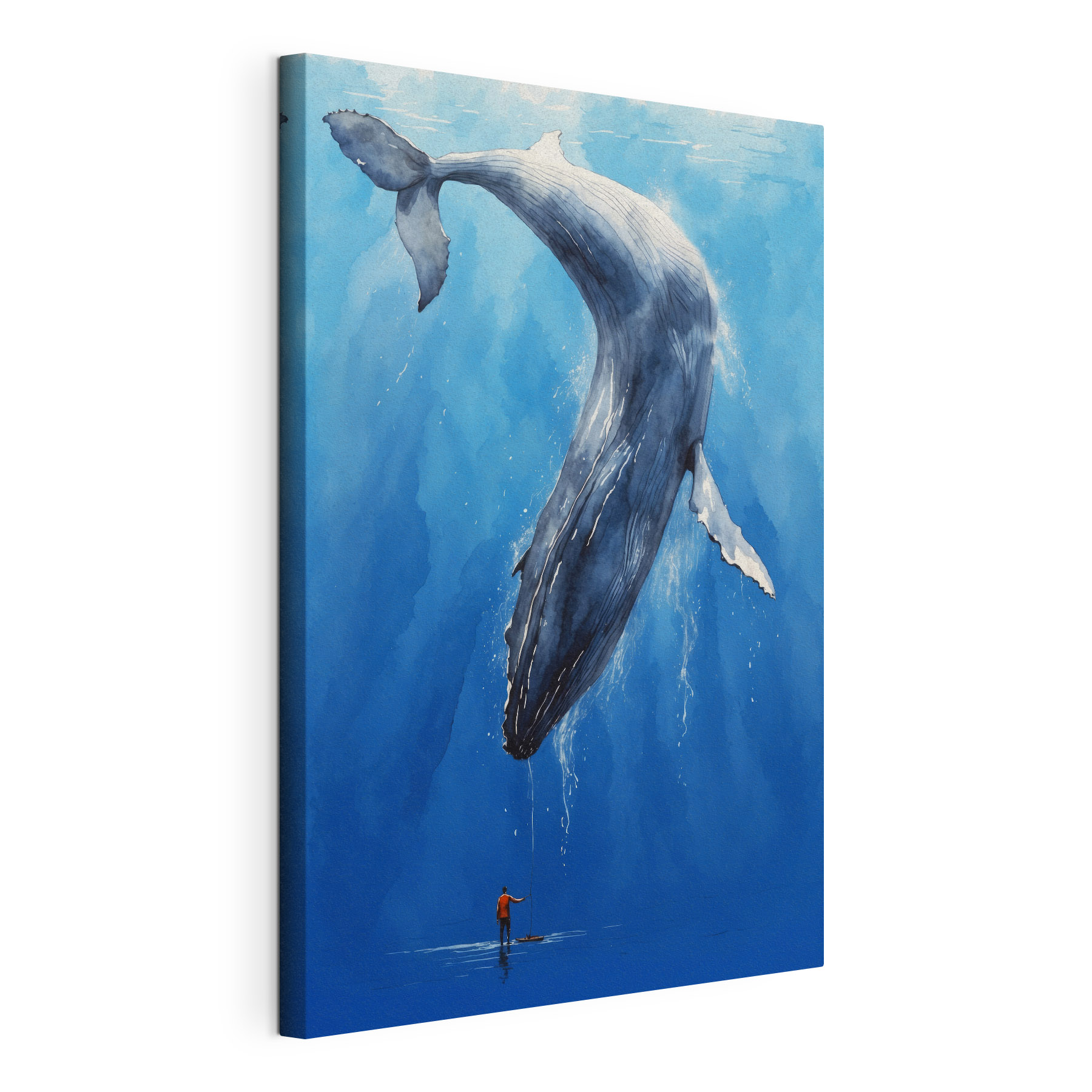 A whale swimming in the water A whale swimming in the water