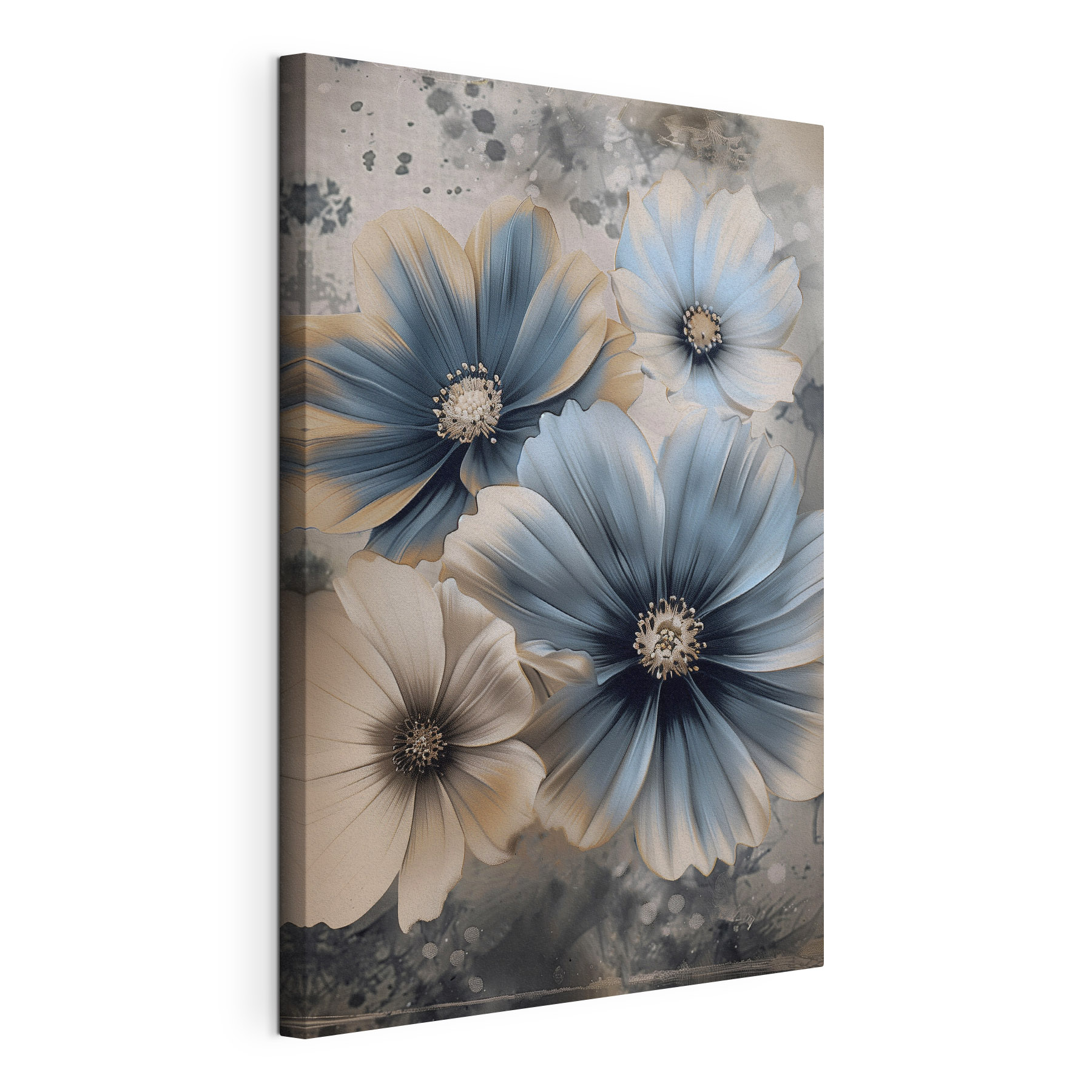 A group of flowers with white and blue petals A group of flowers with white and blue petals