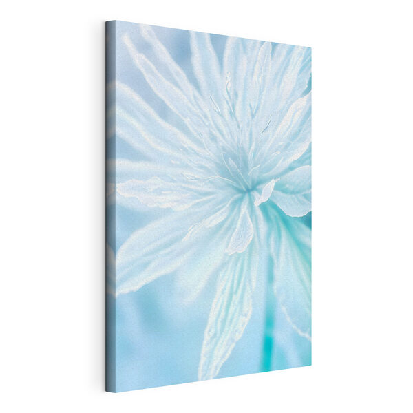 Cuadros Un primer plano de una flor (SKU: s38901) Cuadros Cuadros Un primer plano de una flor (SKU: s38901)
