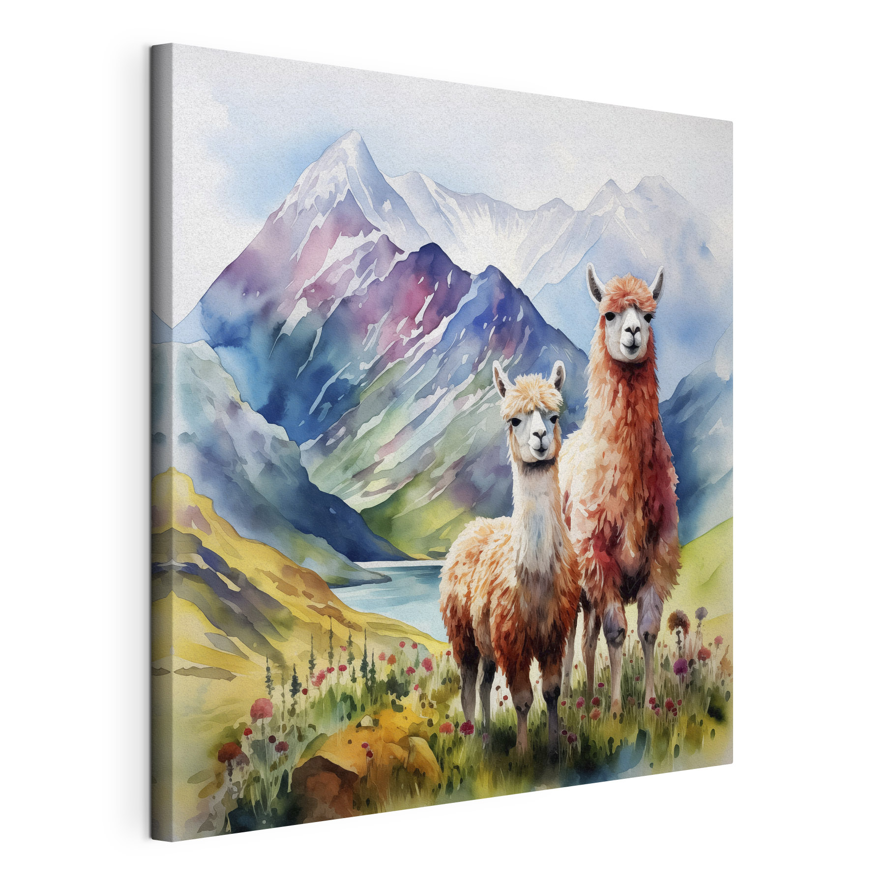 Watercolor painting of llamas in front of mountains and water Watercolor painting of llamas in front of mountains and water