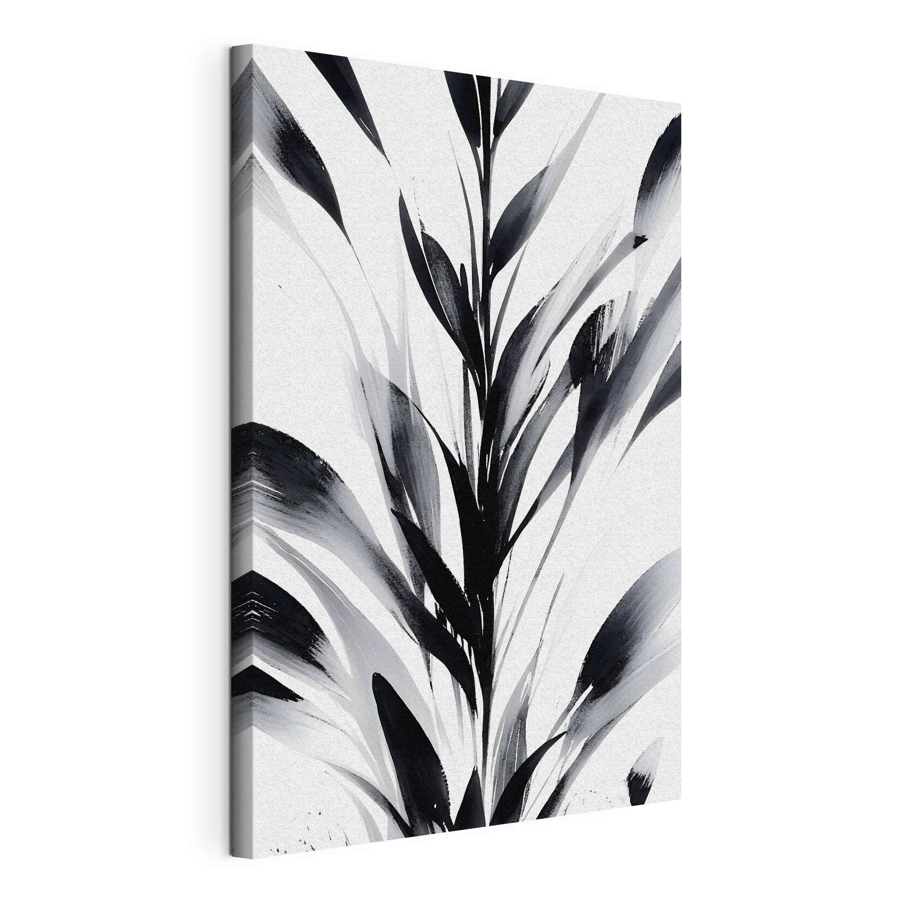 A black and white image of a plant