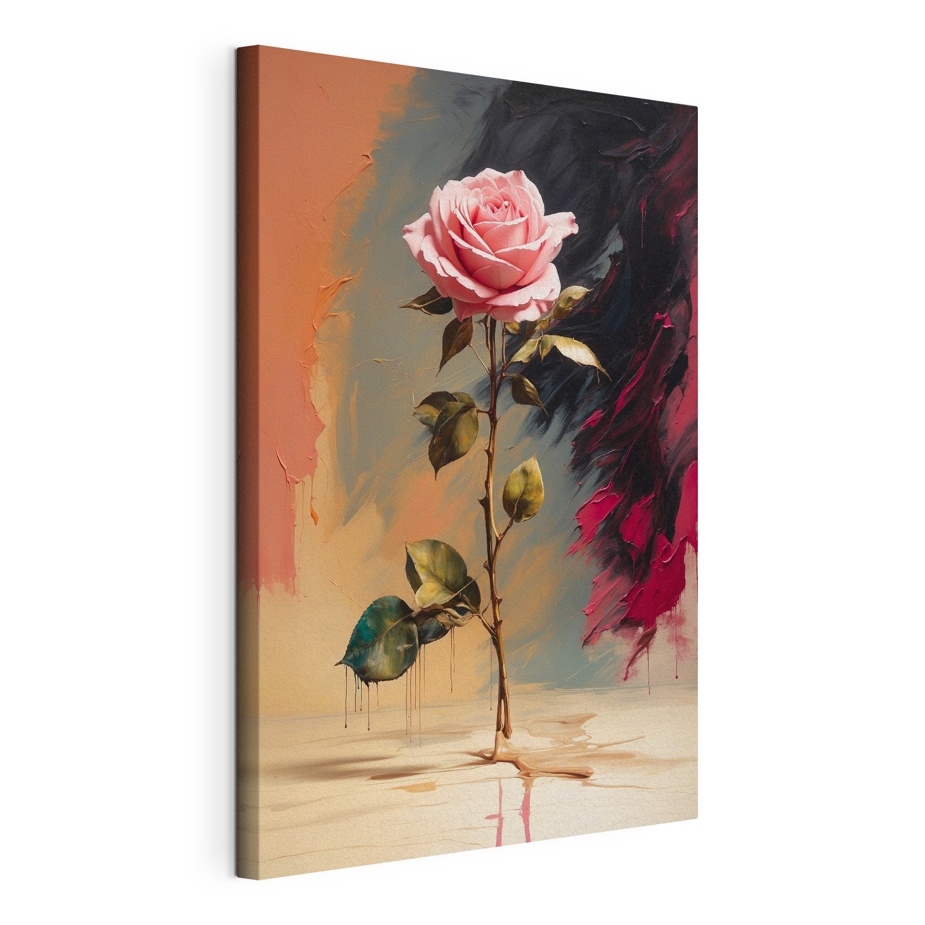 A pink rose on a stem
