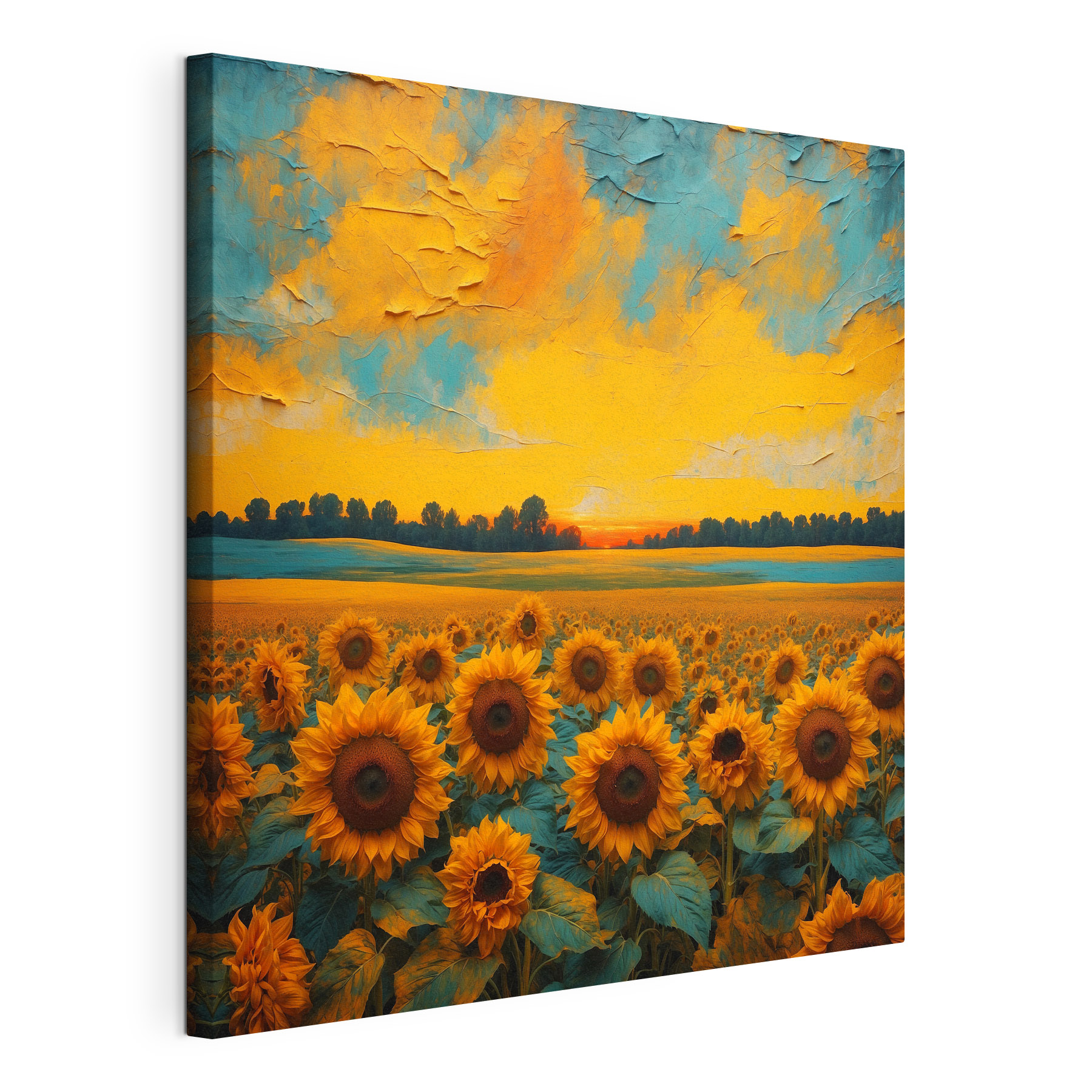 A field of sunflowers with a sunset A field of sunflowers with a sunset