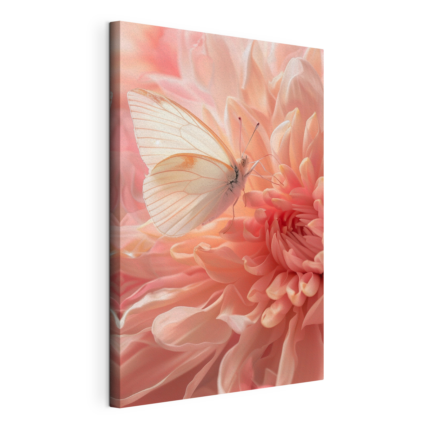 A butterfly on a flower A butterfly on a flower