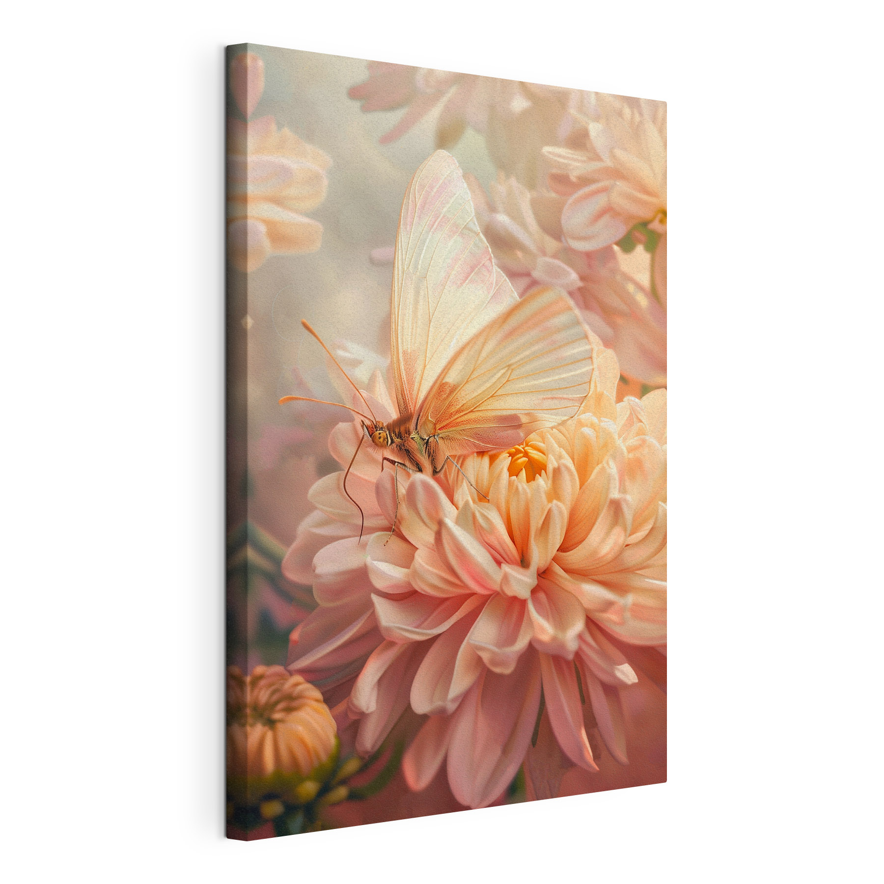 A butterfly on a flower A butterfly on a flower