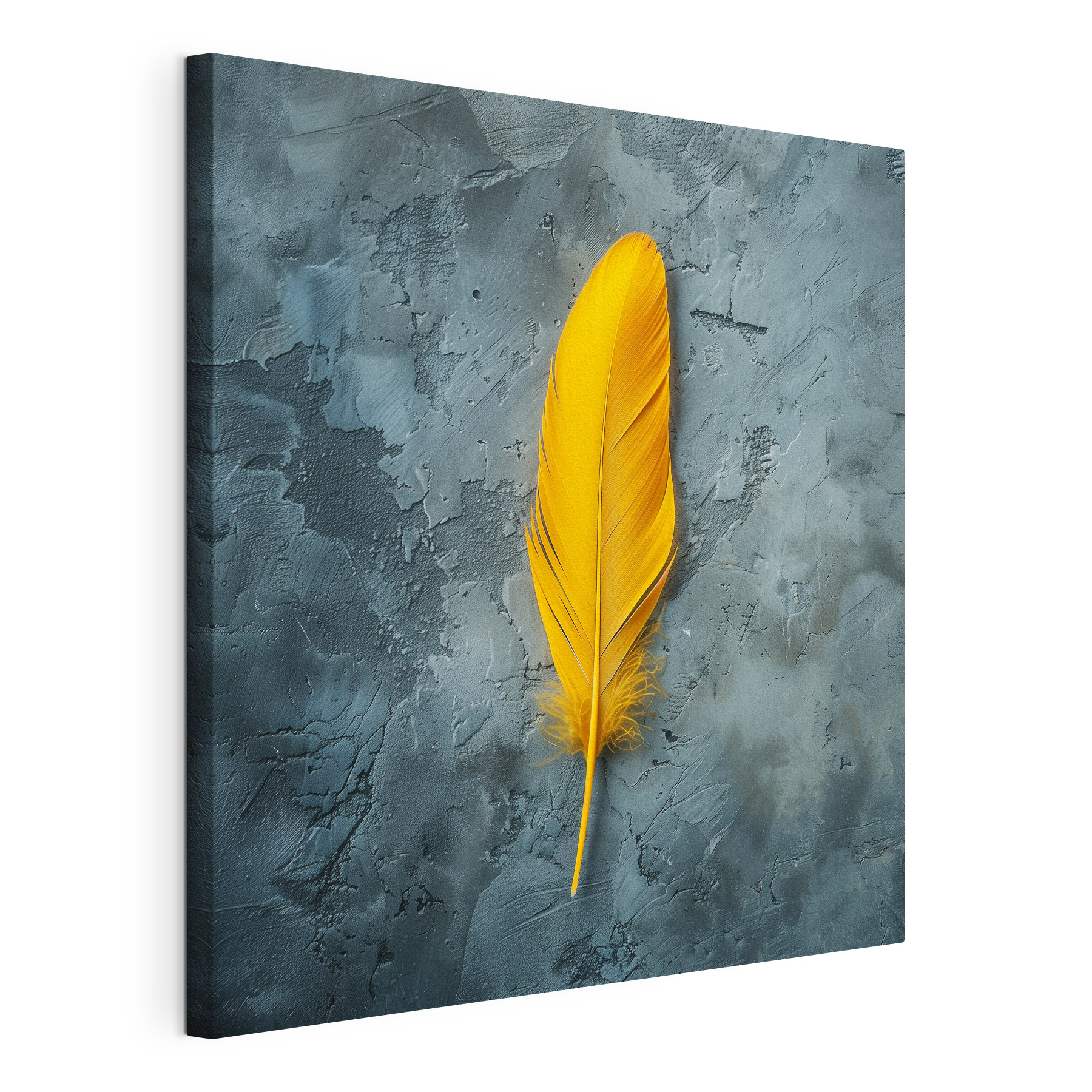 Yellow feather on a grey surface