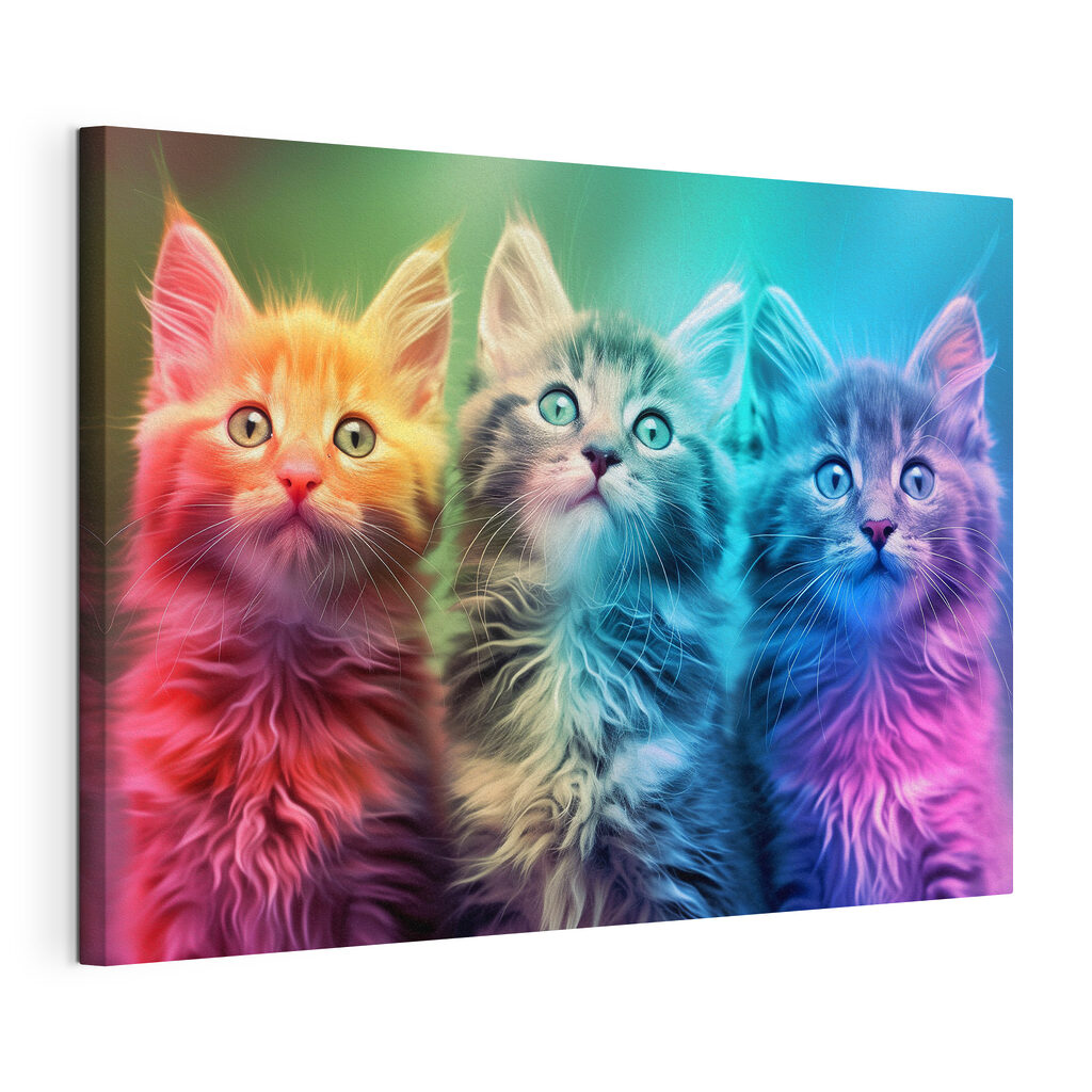 A group of kittens looking up A group of kittens looking up