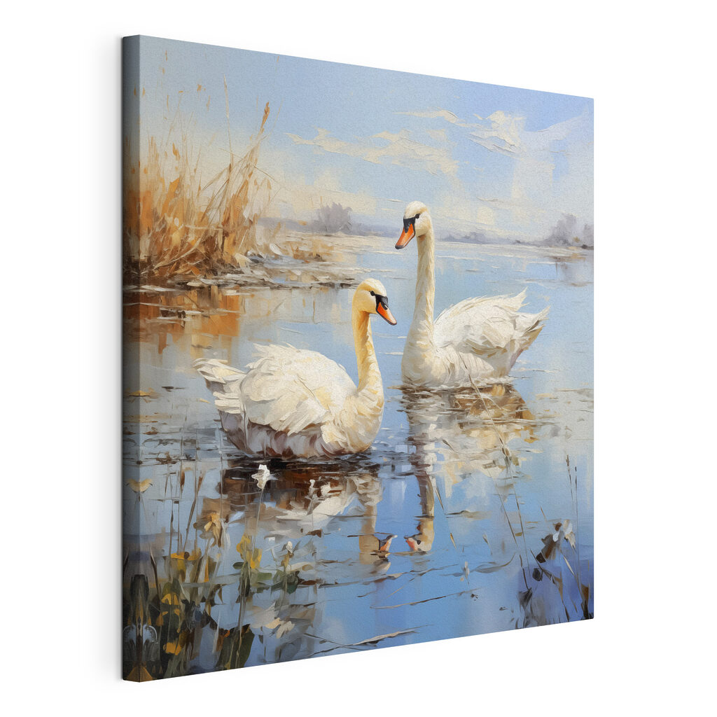 Two swans in a lake Two swans in a lake