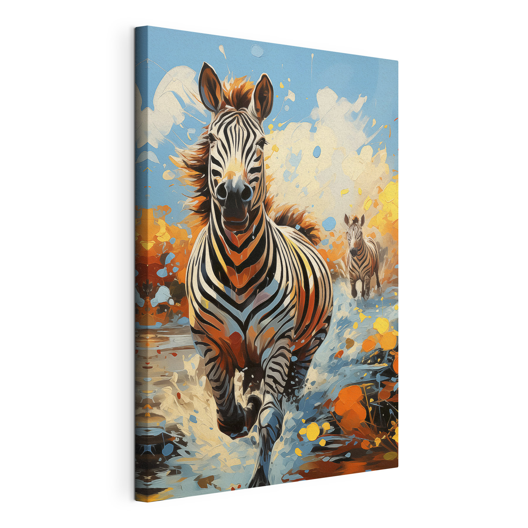 A zebras running through water A zebras running through water