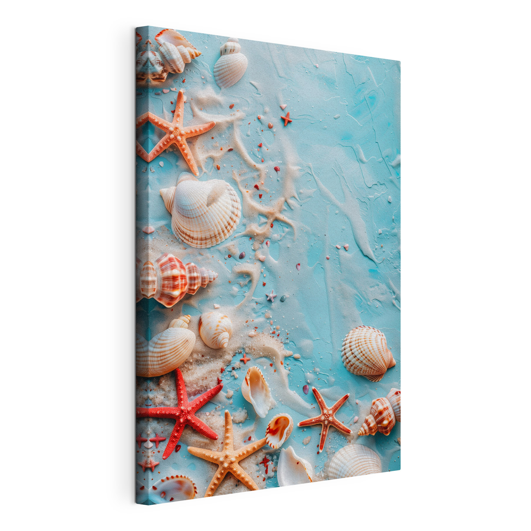 A group of seashells and starfish on a blue surface