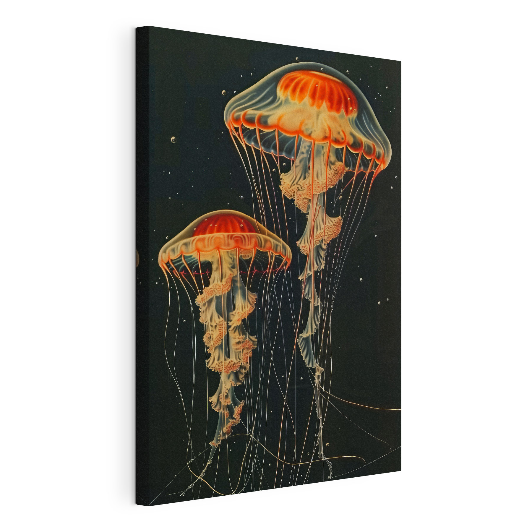 A group of jellyfish in the dark
