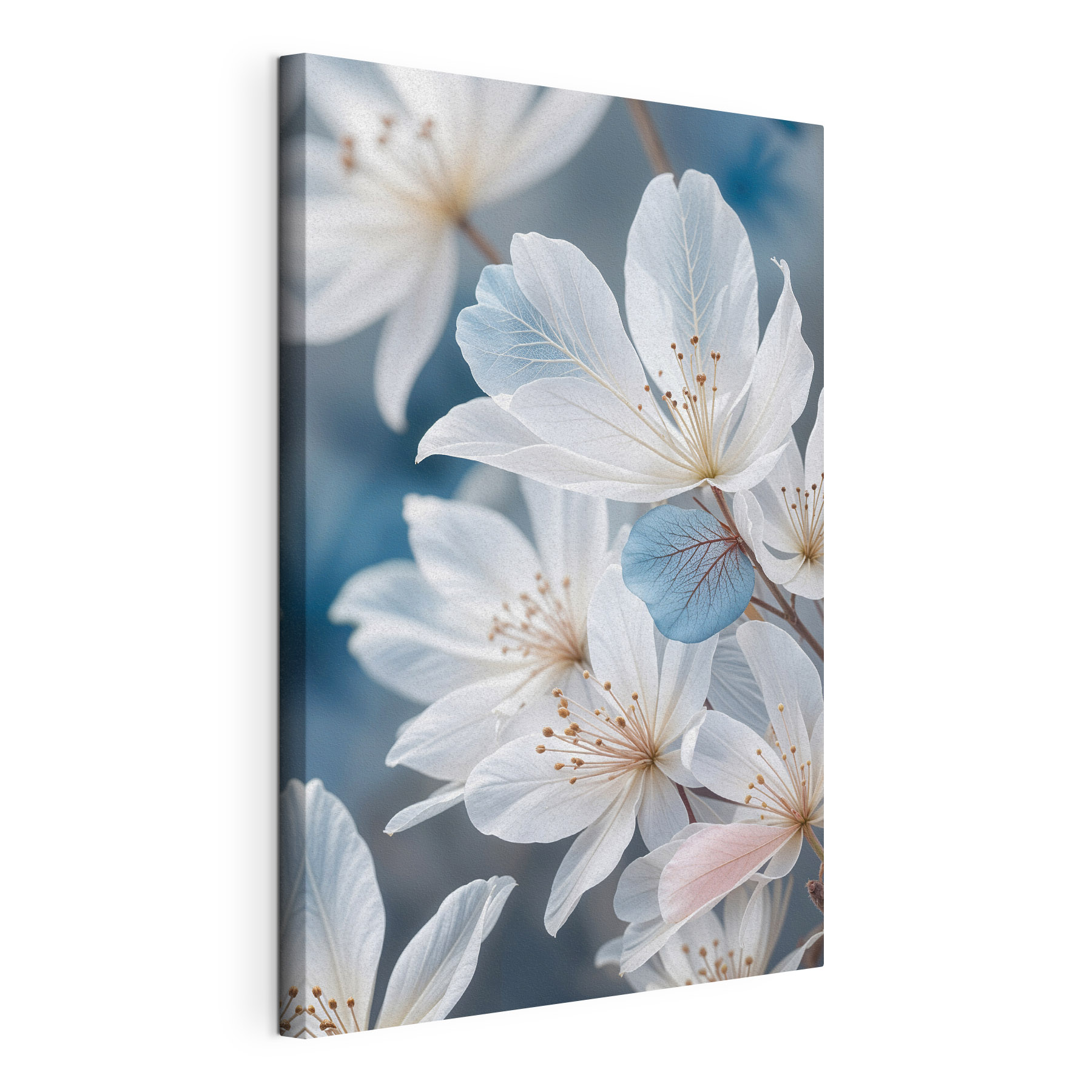 Delicate blooms in soft hues Delicate blooms in soft hues