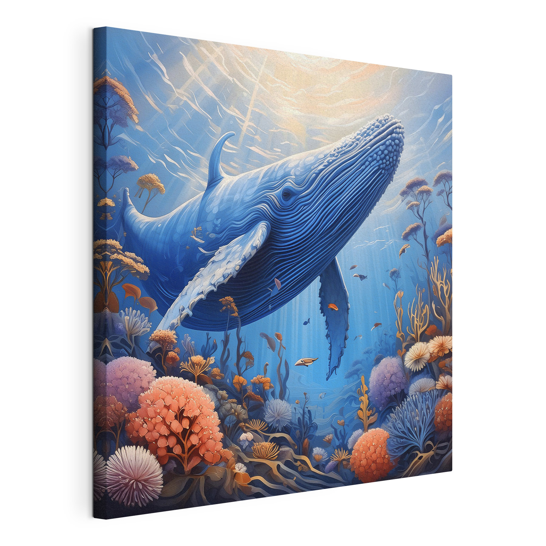 A whale swimming under water A whale swimming under water